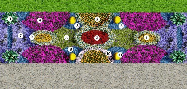 Сине-оранжевая рабатка из многолетников (схема + фото) | Минималистский сад, Цветник план, Цветник